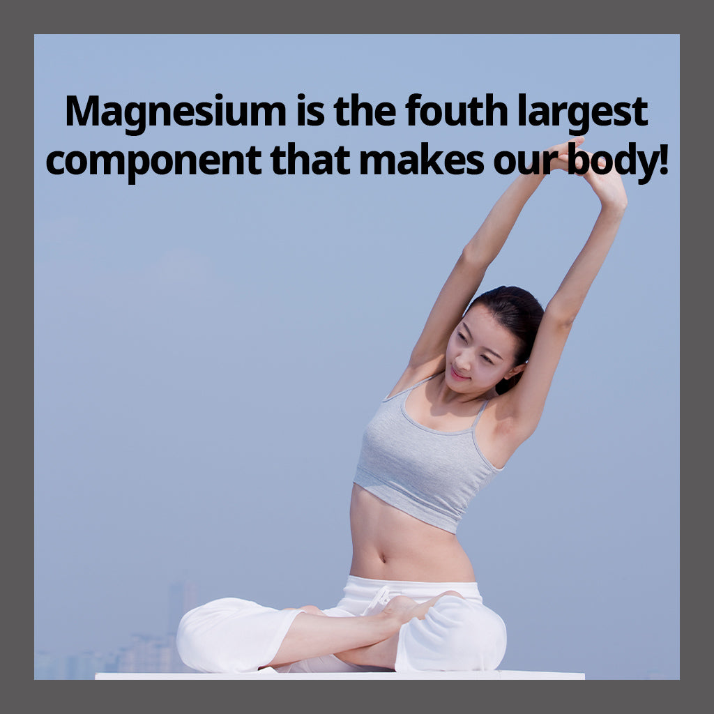 (Best by 06/25) Dr. Elizabeth's Magnesium 350 with Vitamin B6 1,300mg x 90 Capsules - for Optimal Nutrition - Bloom Concept